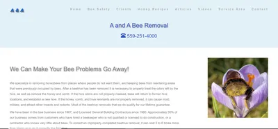 A and A Bee Removal